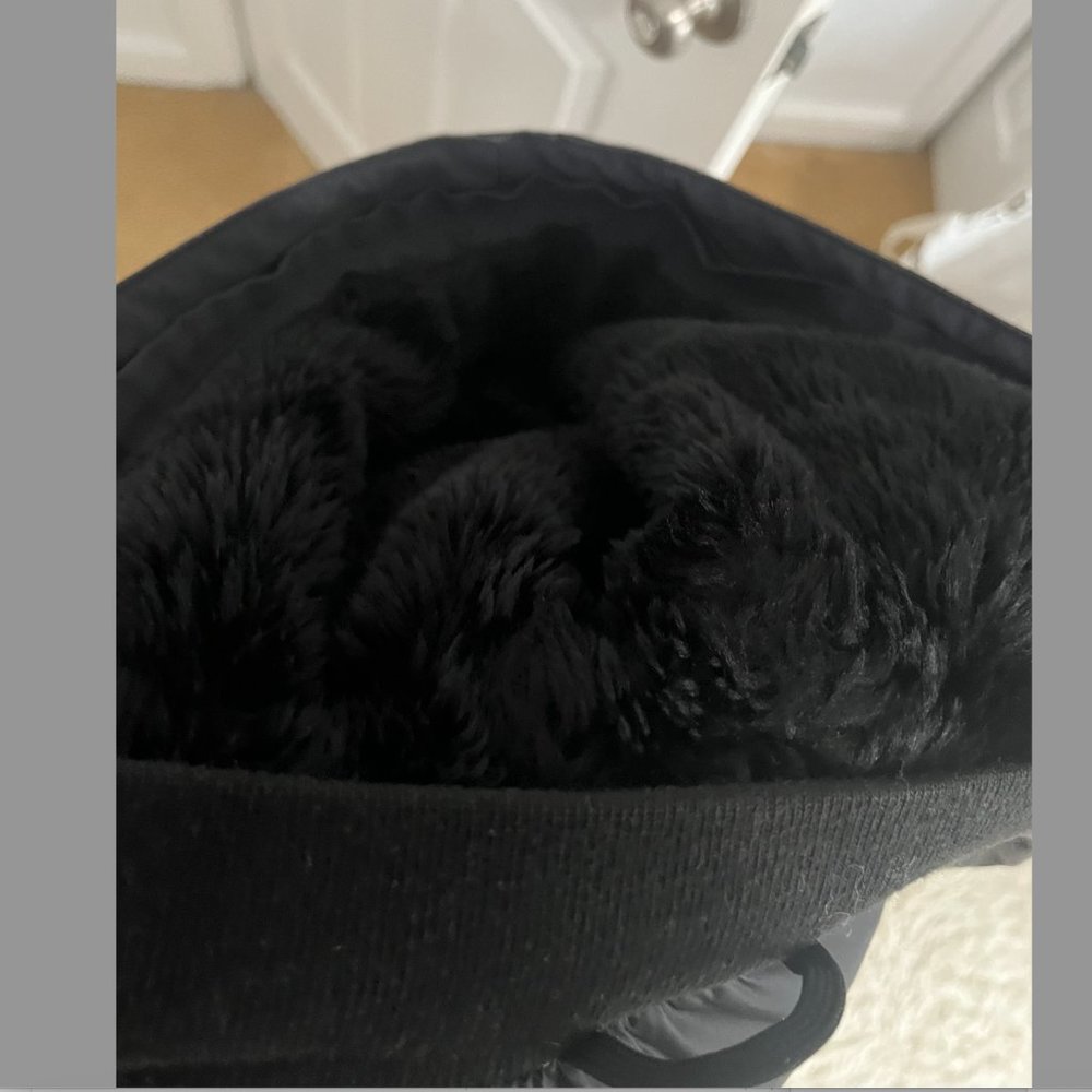 Canada goose - Picture 2 of 9